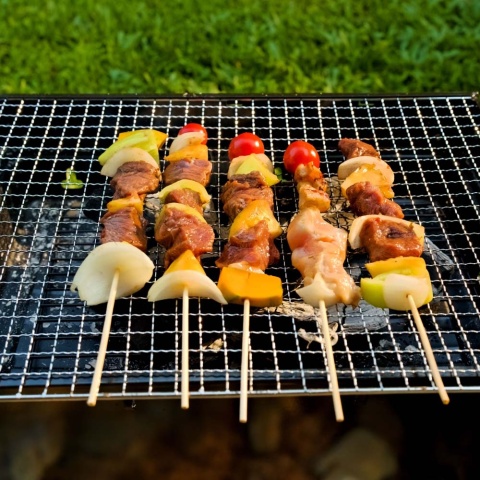 Grill Przenośny Składany Mały 43x22x29cm