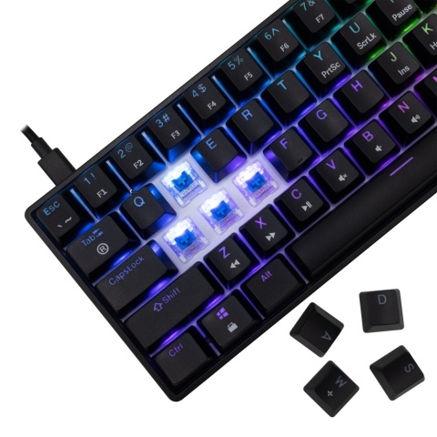 Klawiatura Mechaniczna SHINOBI 2 Black - Blue switches
