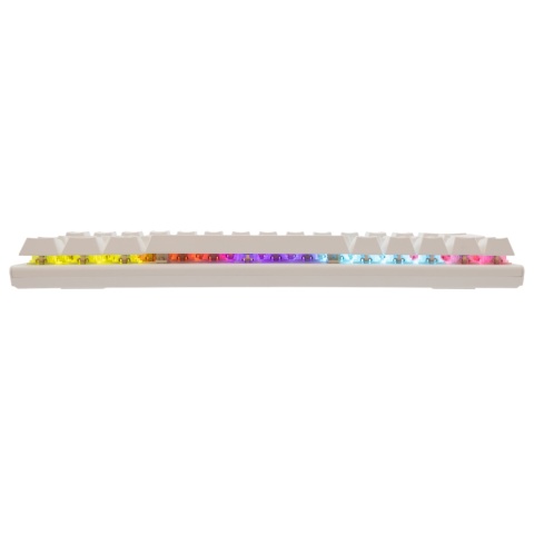 Klawiatura mechaniczna WAKIZASHI-2 / White RED switch