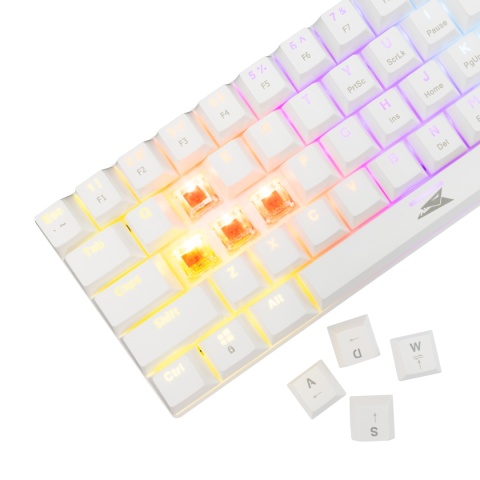 Klawiatura Mechaniczna Baracuda Dolphin 60% RGB Red Switch Biała