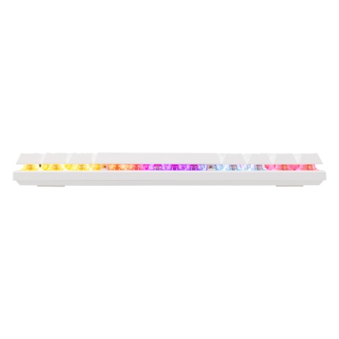 Klawiatura Mechaniczna Baracuda Dolphin 60% RGB Red Switch Biała