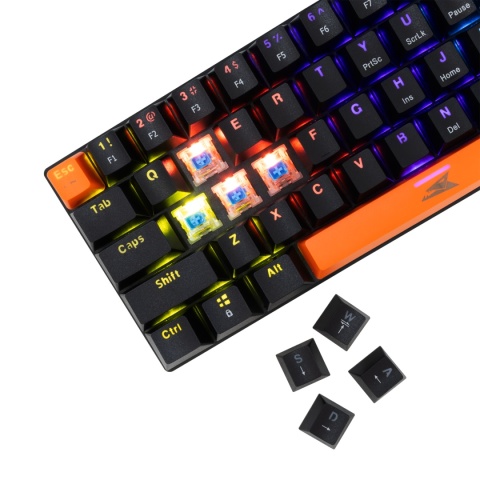 Klawiatura Mechaniczna Baracuda Dolphin 60% RGB BLUE Switch Czarna