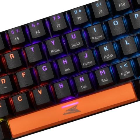 Klawiatura Mechaniczna Baracuda Dolphin 60% RGB BLUE Switch Czarna