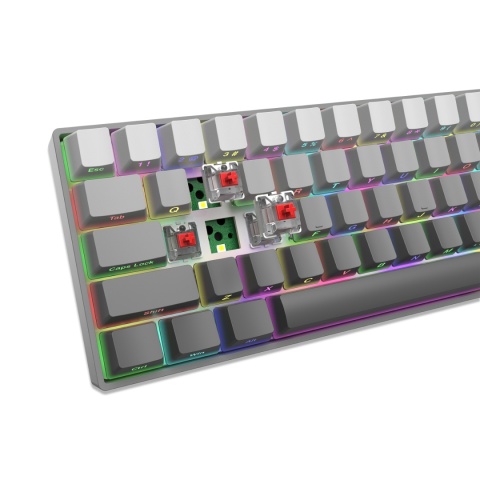Klawiatura Mechaniczna White Shark NUNCHAKU Red Switch 68 Klawiszy RGB Gray