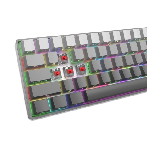 Klawiatura Mechaniczna White Shark NUNCHAKU Red Switch 68 Klawiszy RGB Gray