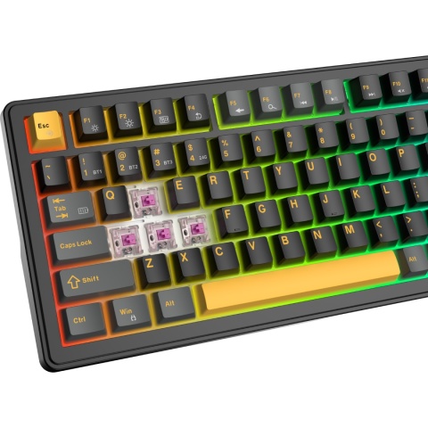 Klawiatura mechaniczna White Shark EXCALIBUR czarna KTT Wine GAMING Red RGB Hot-Swap