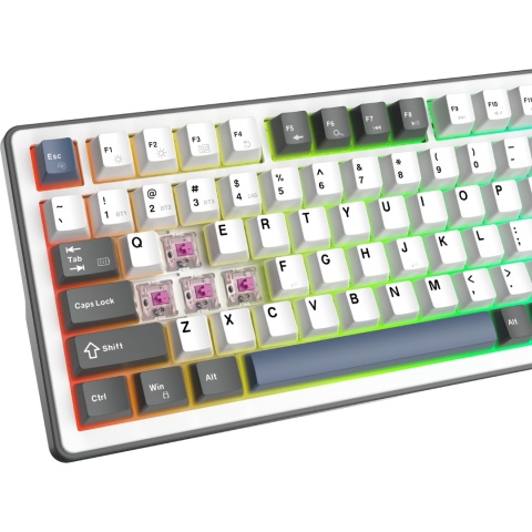 Klawiatura mechaniczna White Shark EXCALIBUR biała KTT Wine GAMING Red RGB Hot-Swap