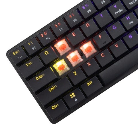 Klawiatura gamingowa White Shark NAGAMAKI czarna Red Switch Low Profile RGB