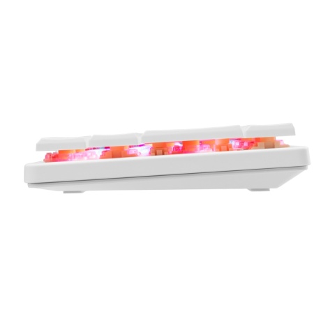 Klawiatura gamingowa White Shark NAGAMAKI biała Red Switch Low Profile RGB
