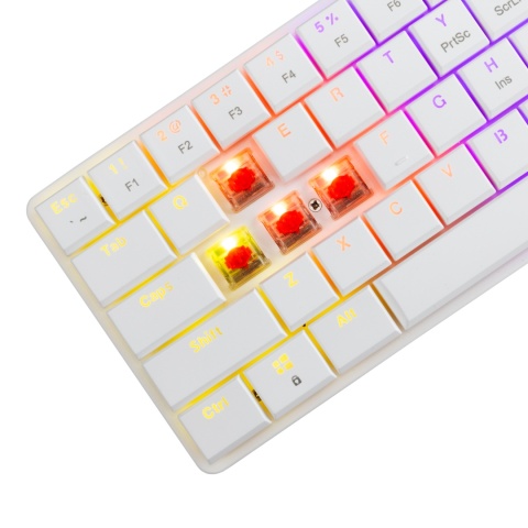 Klawiatura gamingowa White Shark NAGAMAKI biała Red Switch Low Profile RGB
