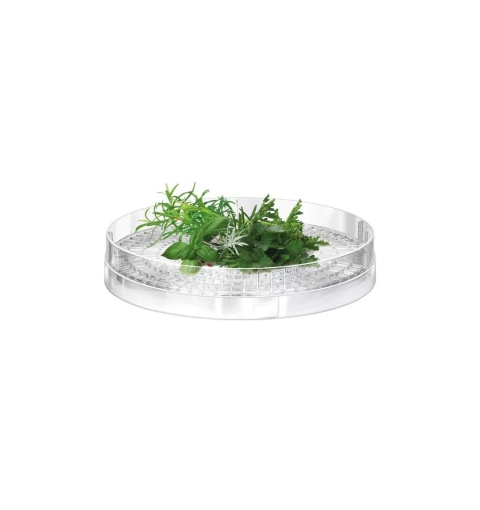 Suszarka Spożywcza MPM MSG-11 500W 5 Sit 31 cm Regulacja Temperatury 35–70°C