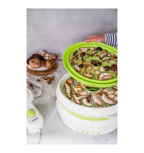 Suszarka Spożywcza do Grzybów MPM MSG-06 400W 6 Sit 30 cm 2 Poziomy Nawiewu